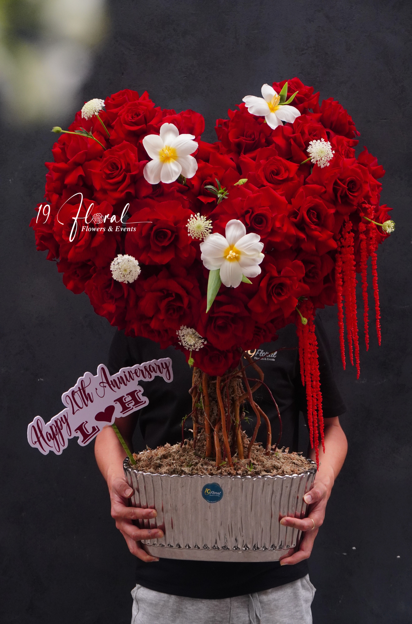 Cây hoa trái tim Happy Roses  - size lớn