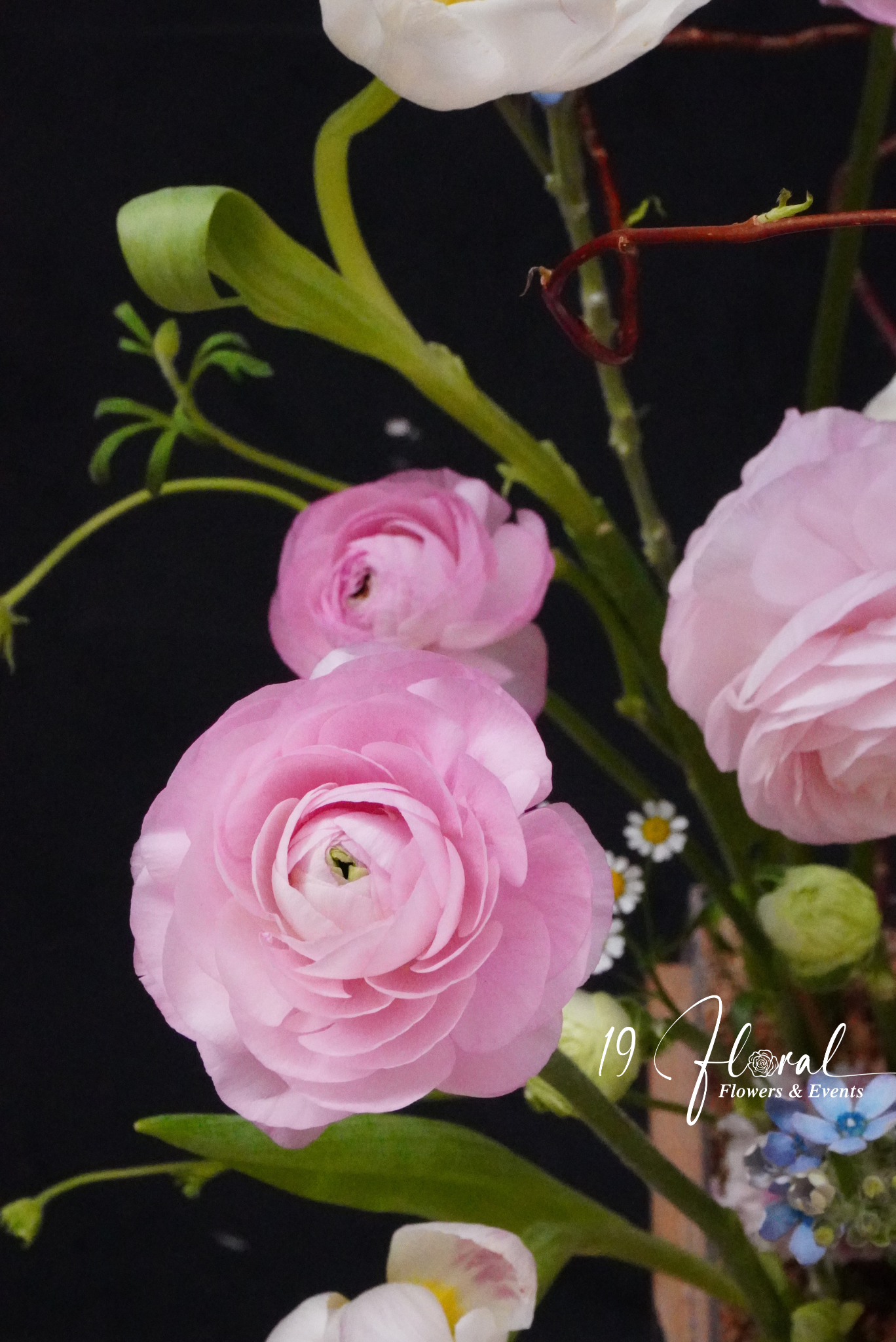 Hộp hoa mao lương - Bloom Elegance