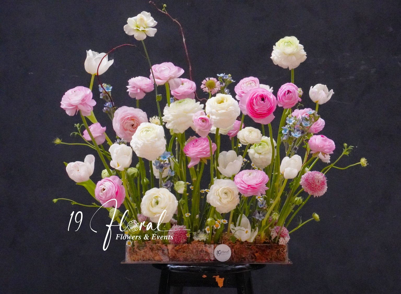 Hộp hoa mao lương - Bloom Elegance