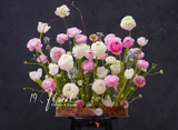 Hộp hoa mao lương - Bloom Elegance