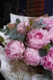 Bó hoa peony - Royal Bloom