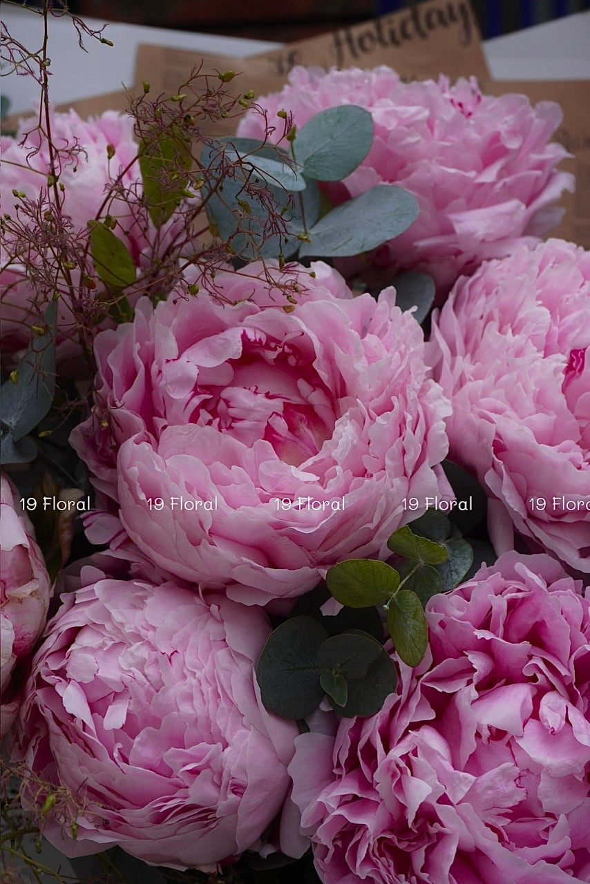 Bó hoa peony - Royal Bloom