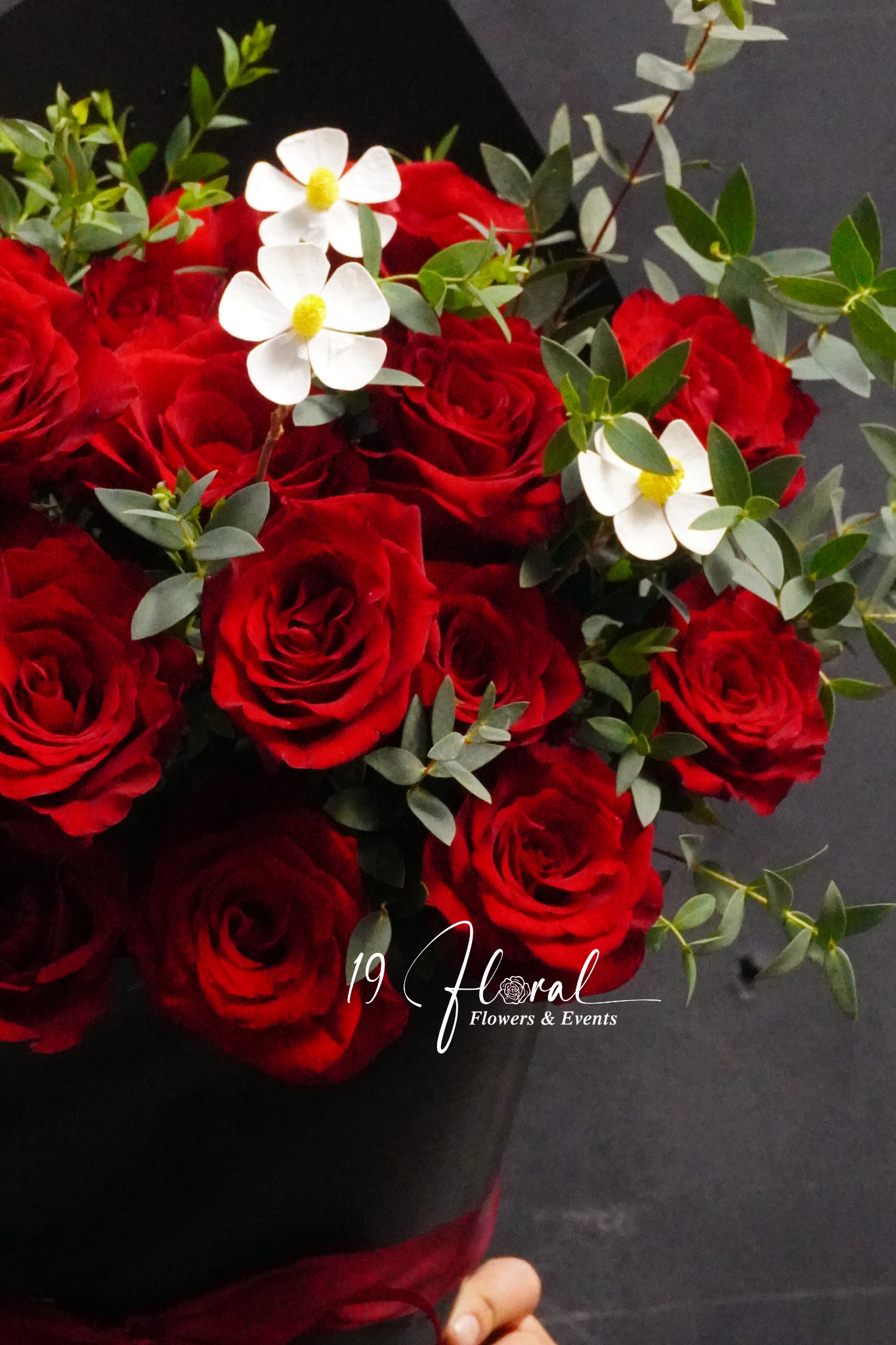 Que kem đứng Petal Whisper 2