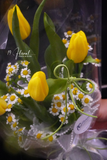 Bó hoa tulip Strong Gold