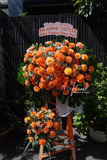 Kệ Hoa Chúc Mừng Bloomy Day
