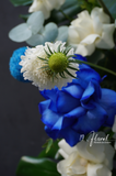 Kệ Hoa Chúc Mừng Soft Ocean