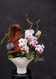 Chậu Lan hồ điệp - Pearl Orchid