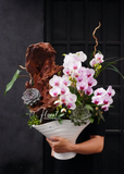 Chậu Lan hồ điệp - Pearl Orchid