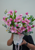 Chậu hoa tulip - Rosy Mood