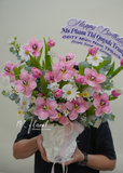 Chậu hoa tulip - Rosy Mood