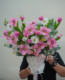 Chậu hoa tulip - Rosy Mood