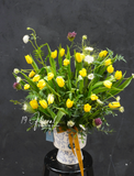 Chậu hoa tulip - Soft Garden