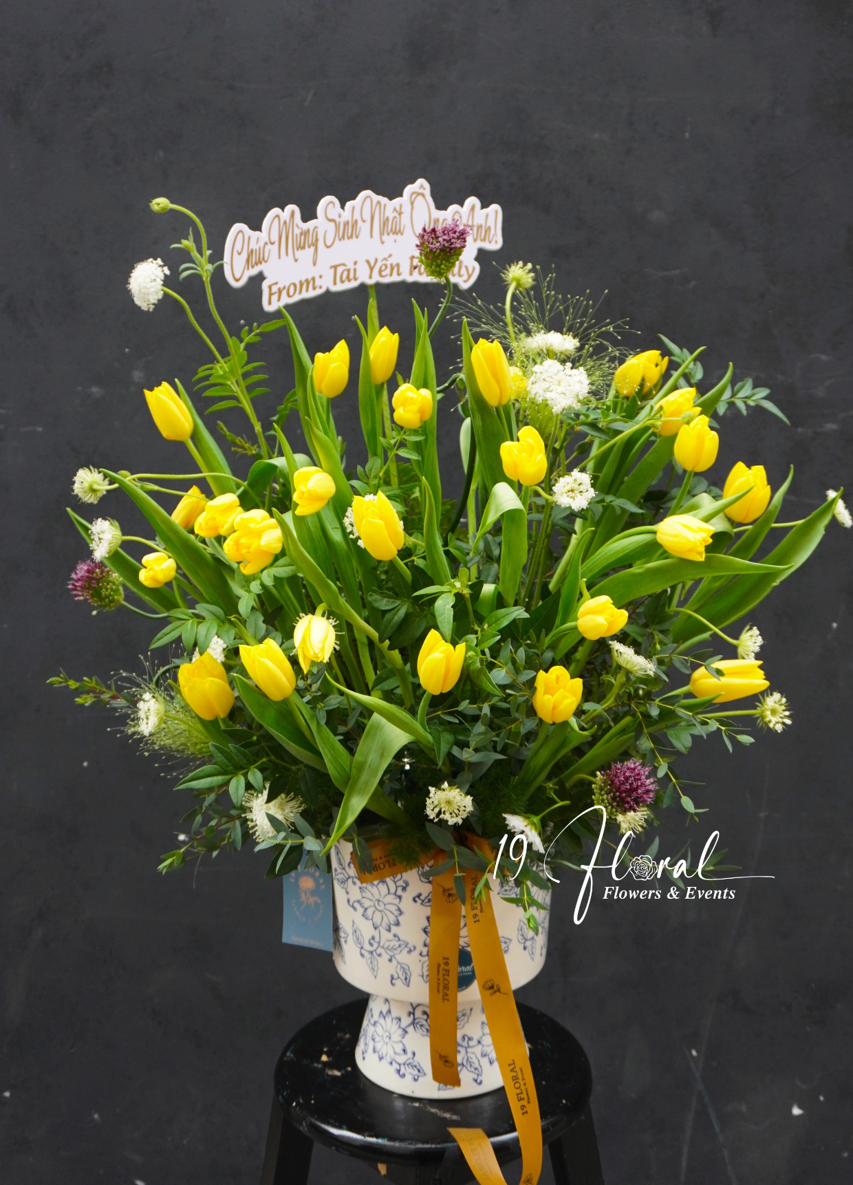 Chậu hoa tulip - Soft Garden