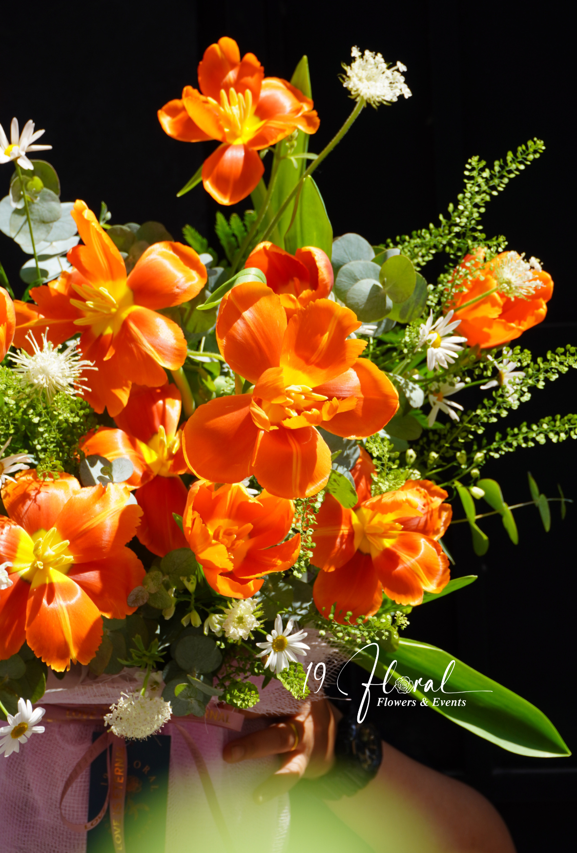 Chậu hoa tulip -  Royal Blossom