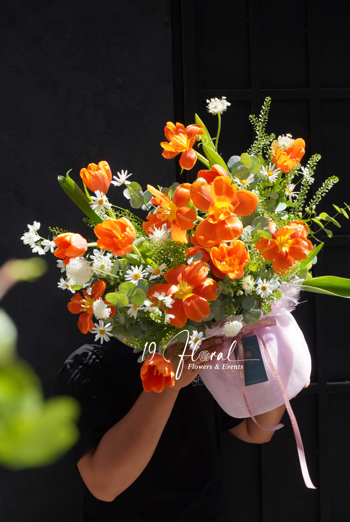 Chậu hoa tulip -  Royal Blossom