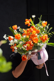 Chậu hoa tulip -  Royal Blossom