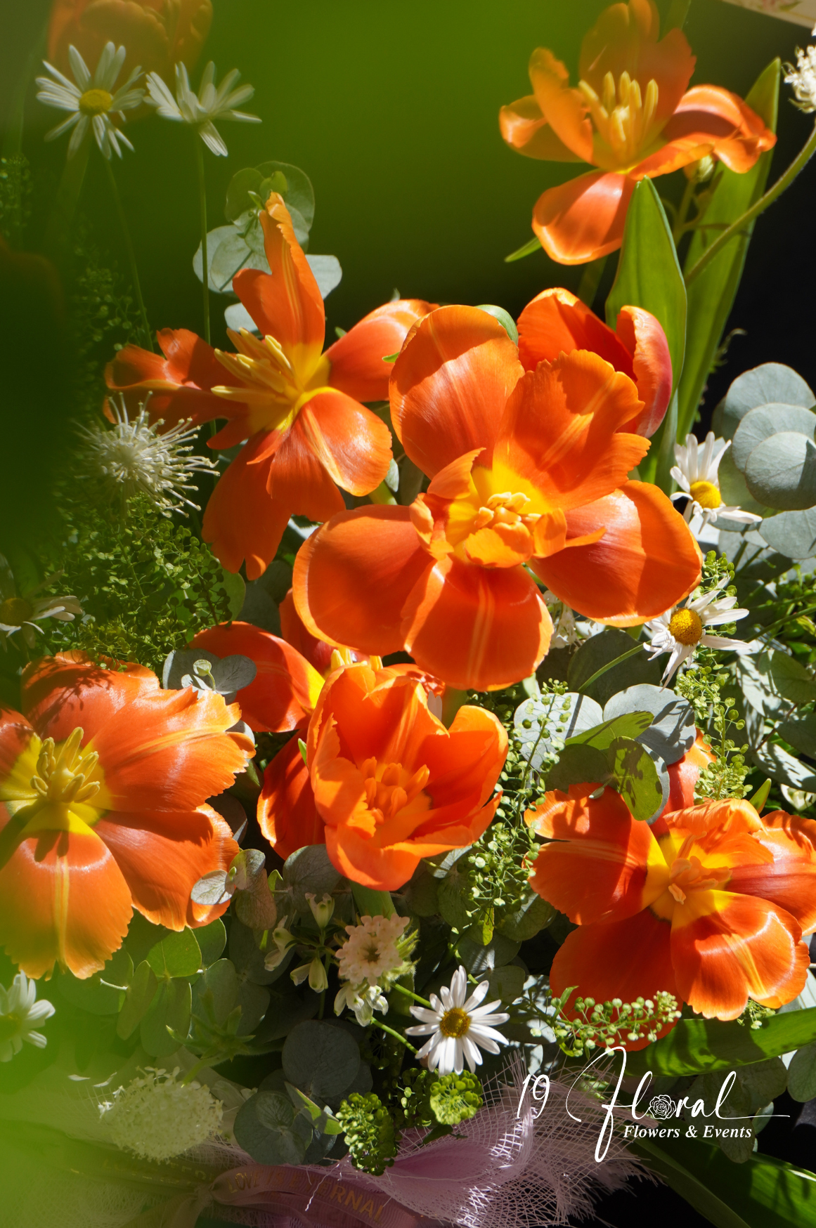 Chậu hoa tulip -  Royal Blossom