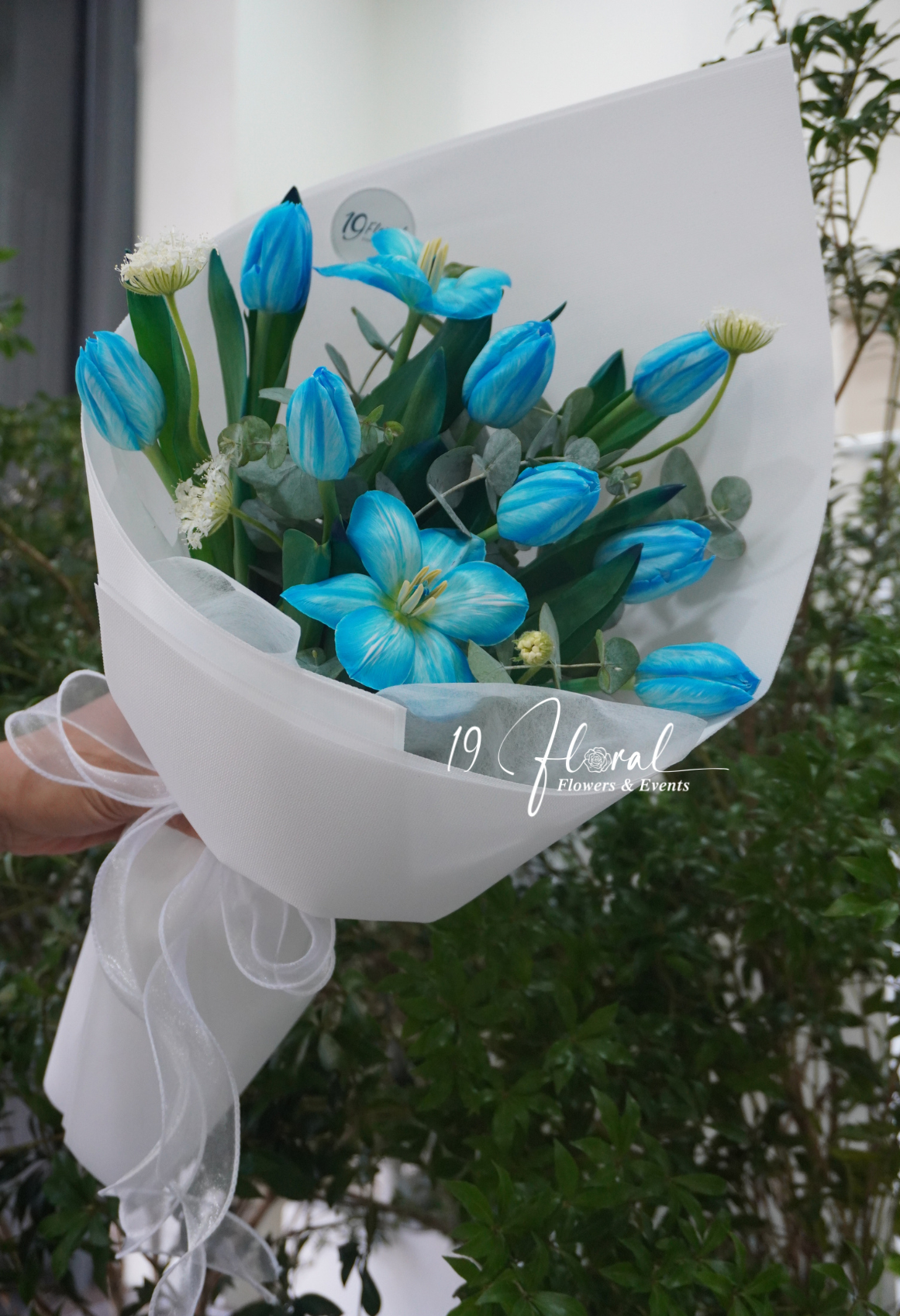 Bó hoa tulip Sky blue 2