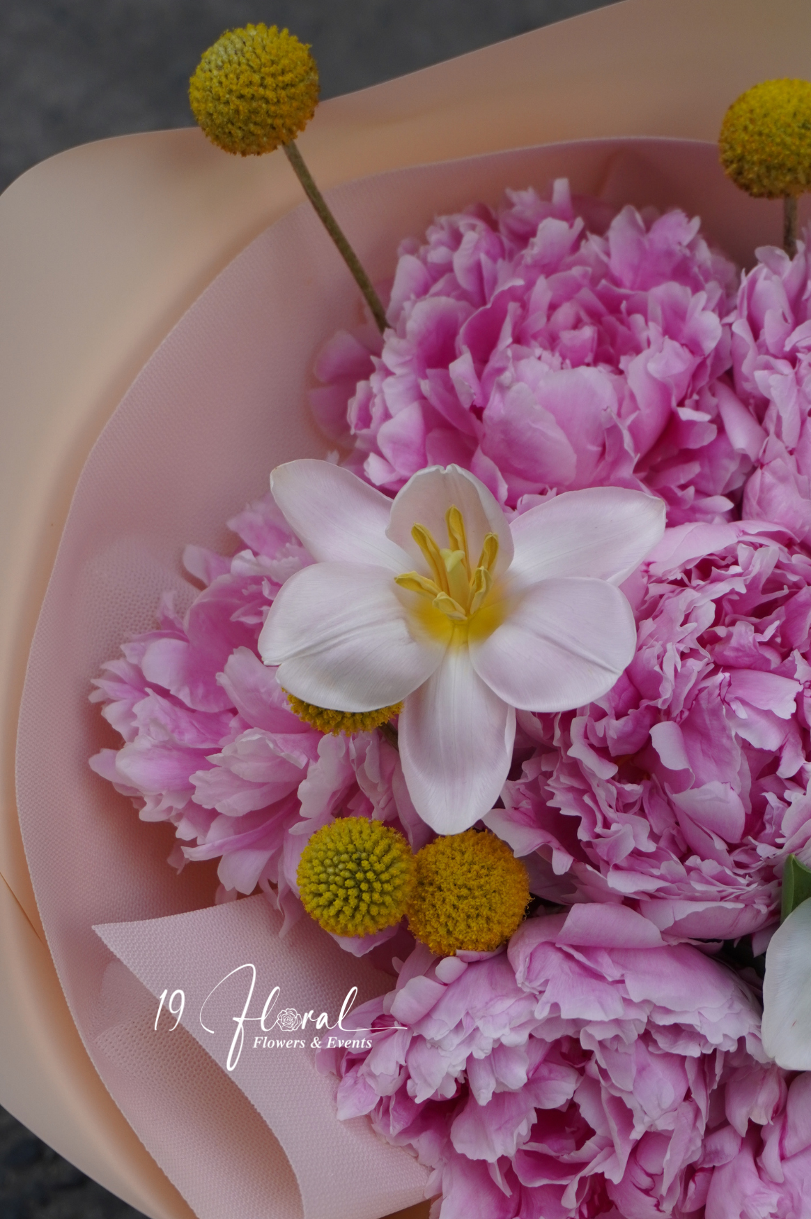 Bó hoa Peony - Ivory Bloom