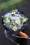 Bó hoa tú cầu - Ciel Bleu