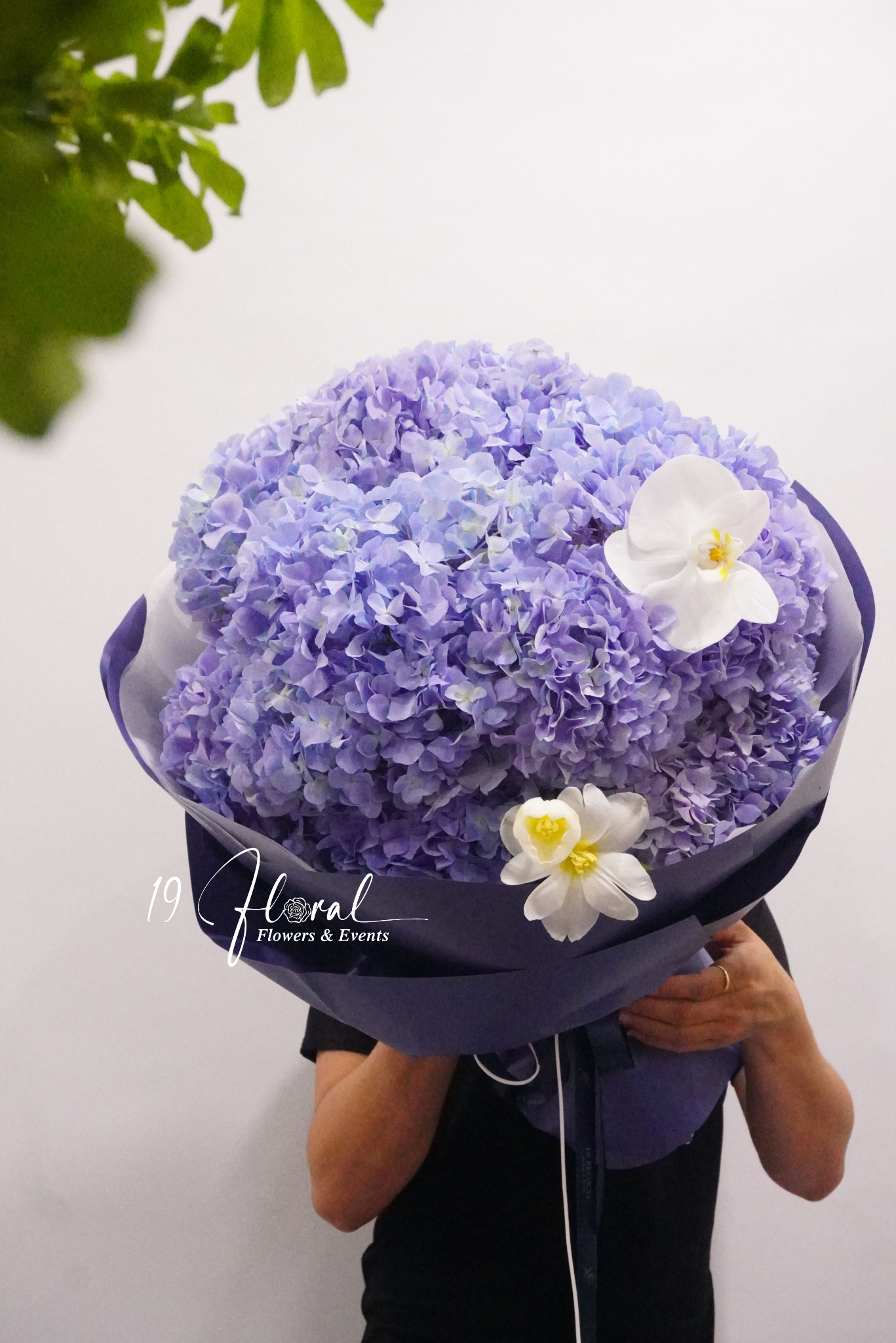 Bó hoa tú cầu - Success Bloom