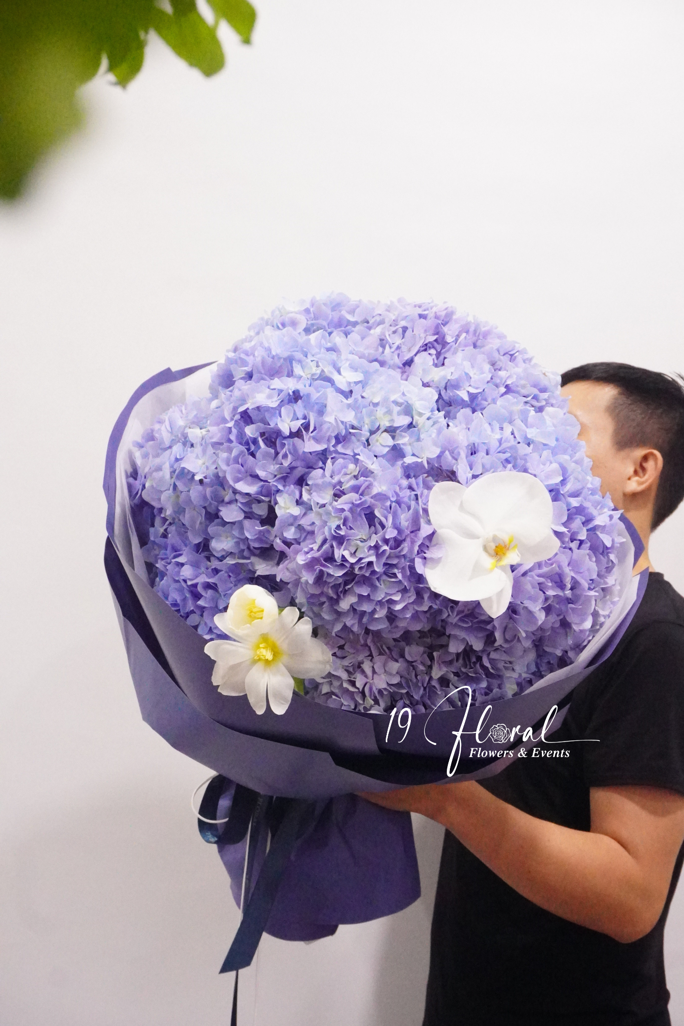 Bó hoa tú cầu - Success Bloom