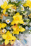 Chậu hoa tulip - Love Sunny