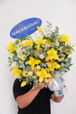 Chậu hoa tulip - Love Sunny