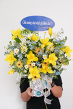 Chậu hoa tulip - Love Sunny