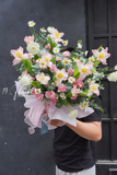 Chậu hoa tulip - Timeless Tulip