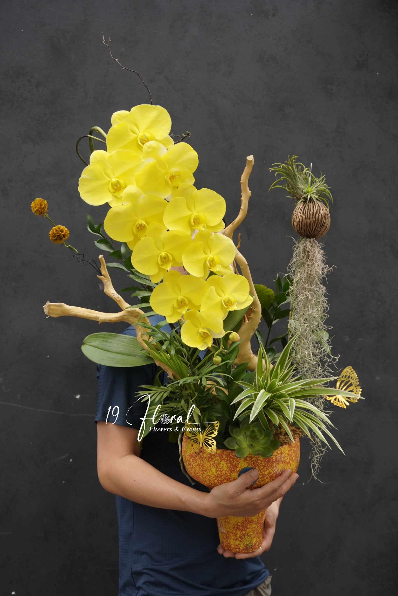 Chậu hoa lan thiết kế - Orchid Poise