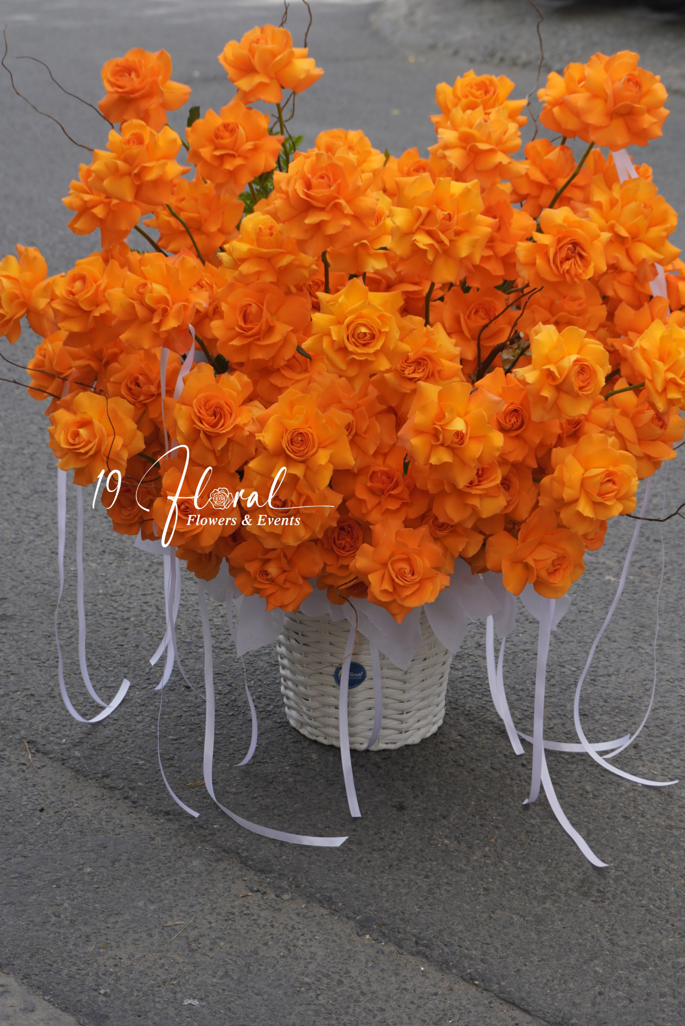 Giỏ hoa Dear Spring