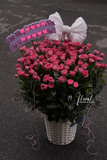 Giỏ hoa Sophie Bloom