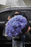 Bó hoa Hydrangea & Co.