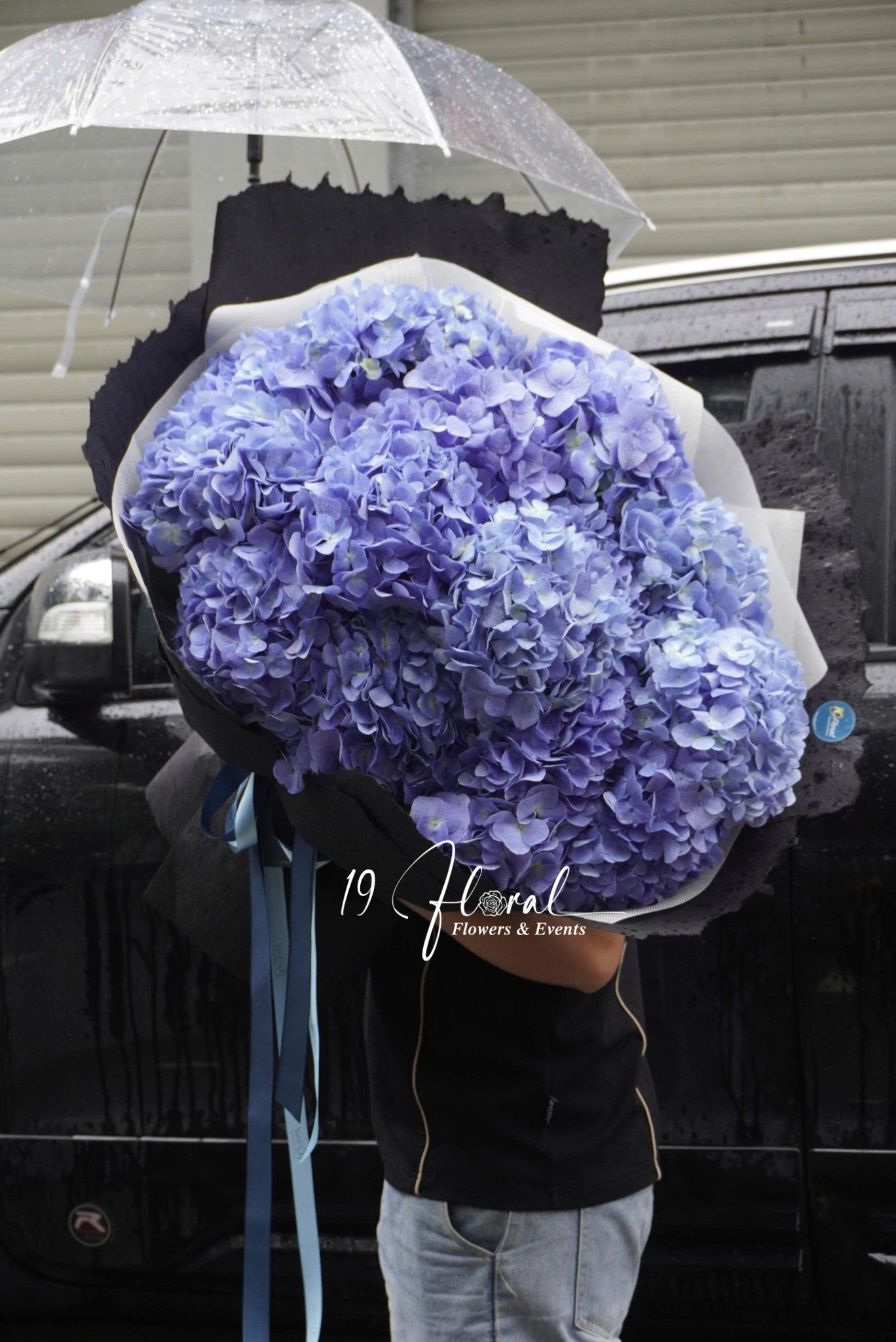 Bó hoa Hydrangea & Co.
