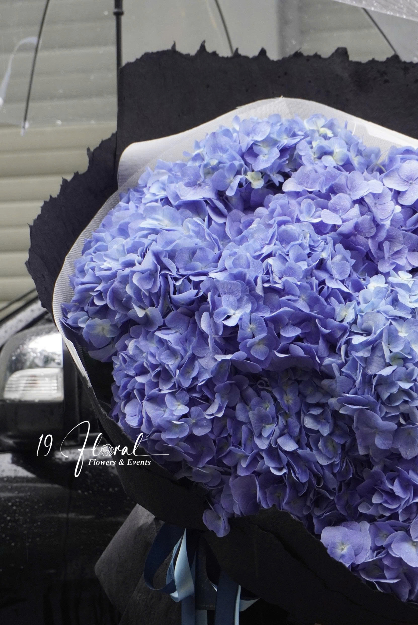 Bó hoa Hydrangea & Co.