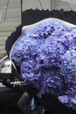 Bó hoa Hydrangea & Co.