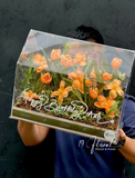 Hộp mica tulip - Fleur de Lune