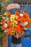 Hộp hoa Fiore d’Oro