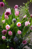 Hộp hoa tulip - Royal Tulip
