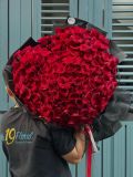 Bó Hoa Red Rose