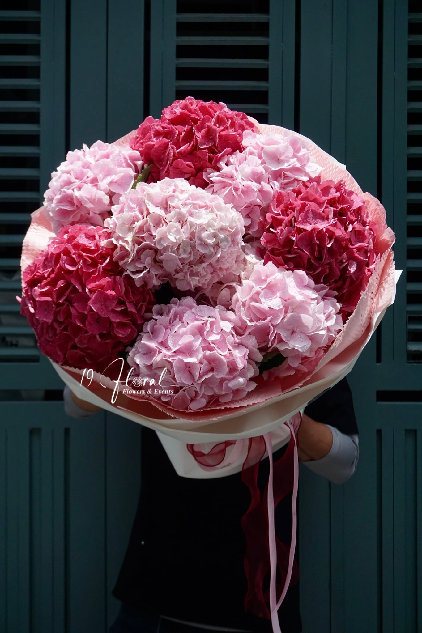 Bó Hoa Cẩm tú cầu Hà Lan