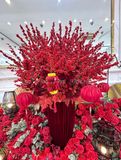 Hoa Đào Đông 001