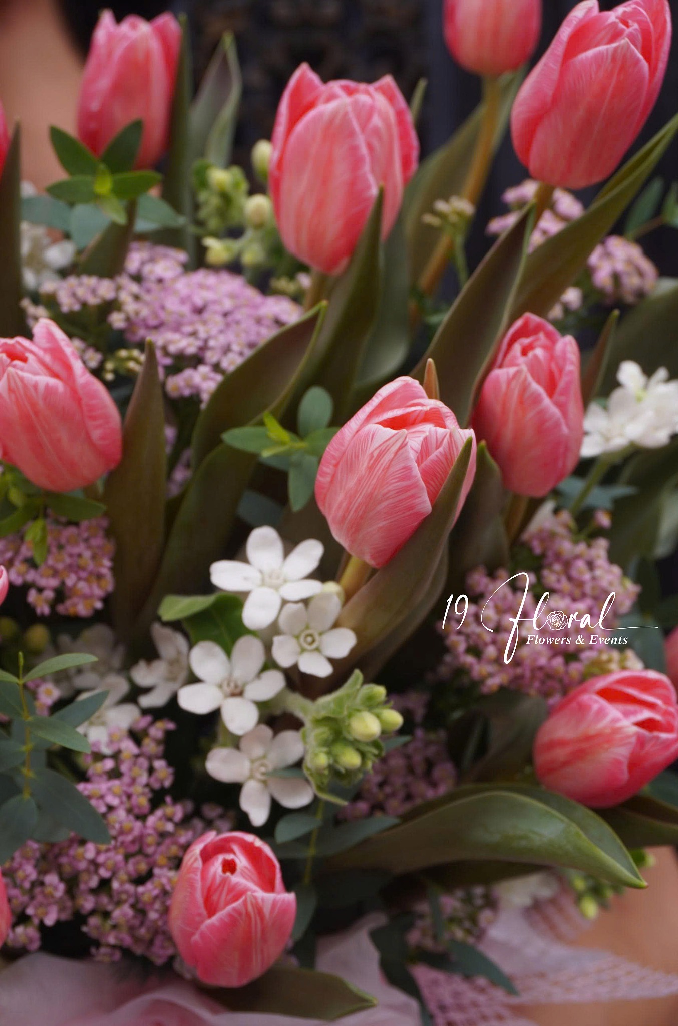 Chậu hoa Tulip - One Love, One Life