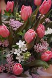 Chậu hoa Tulip - One Love, One Life