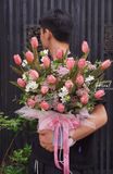 Chậu hoa Tulip - One Love, One Life