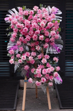 Kệ Hoa Chúc Mừng Pink Dream