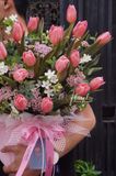 Chậu hoa Tulip - One Love, One Life