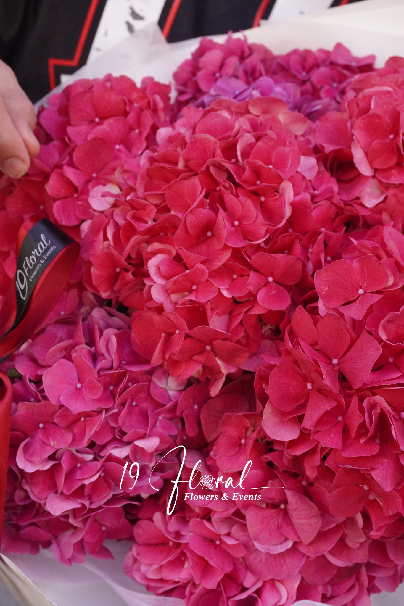 Bó hoa cẩm tú cầu đỏ Ruby