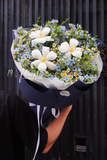 Bó hoa Lam Tinh x Tulip